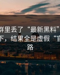 有人在群里丢了“最新黑料”，我顺手查了下，结果全是虚假“官网”套路