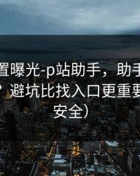 隐藏设置曝光-p站助手，助手到底靠不靠谱？避坑比找入口更重要（账号安全）