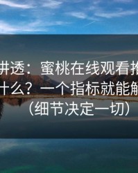 一口气讲透：蜜桃在线观看推荐机制到底看什么？一个指标就能解释大半（细节决定一切）