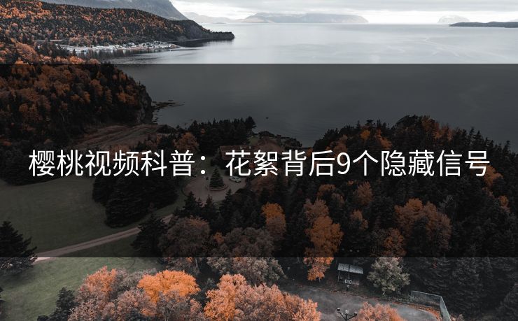 樱桃视频科普：花絮背后9个隐藏信号