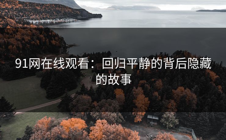 91网在线观看：回归平静的背后隐藏的故事