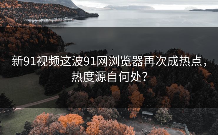 新91视频这波91网浏览器再次成热点，热度源自何处？